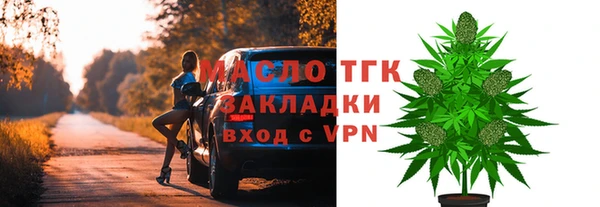 шишки Коряжма