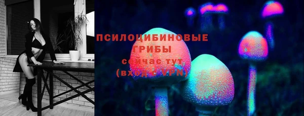 мдпв Красноперекопск