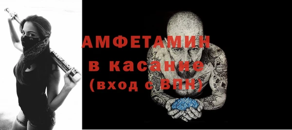 шишки Коряжма