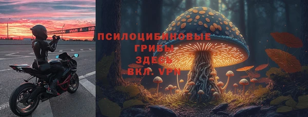 мдпв Красноперекопск