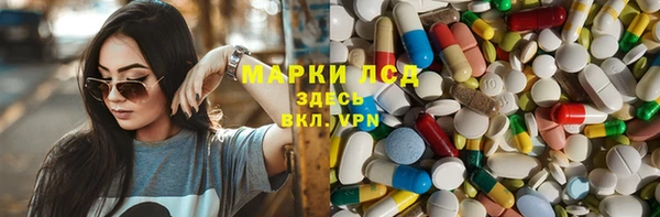 шишки Коряжма
