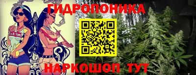 jwh Сертолово