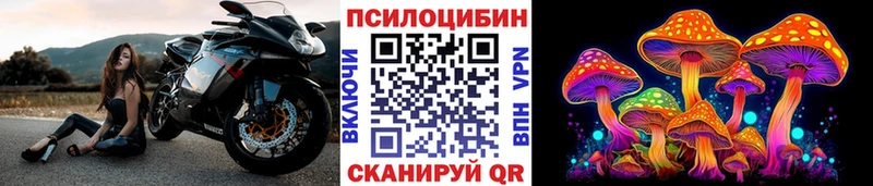 что такое   Мценск  Галлюциногенные грибы ЛСД 