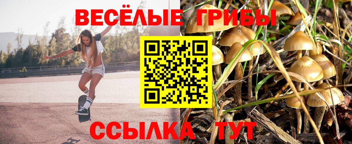Псилоцибиновые грибы мухоморы Мценск